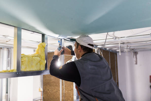 Types of Insulation We Offer in Kenneth City, FL