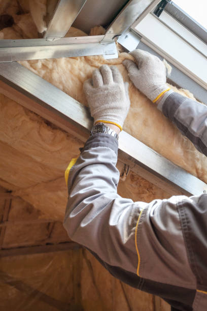 Best Blown-in Insulation in Kenneth City, FL